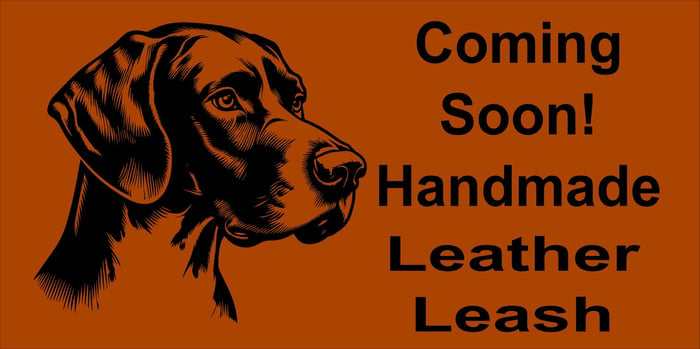 Leather Dog Leash image