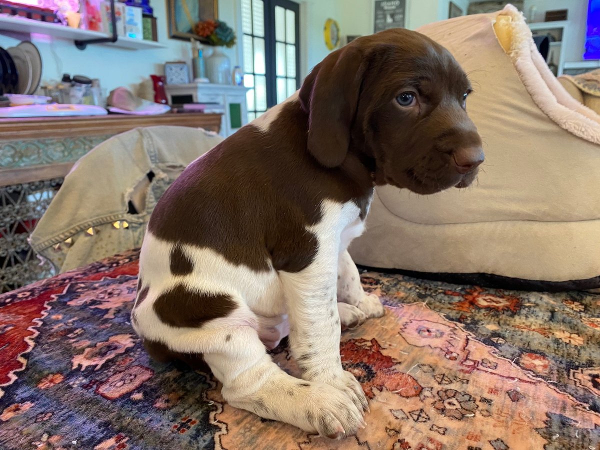 Ellie 051225 001