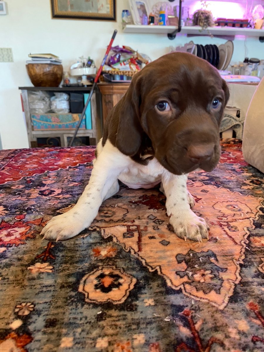 Ellie 051225 003