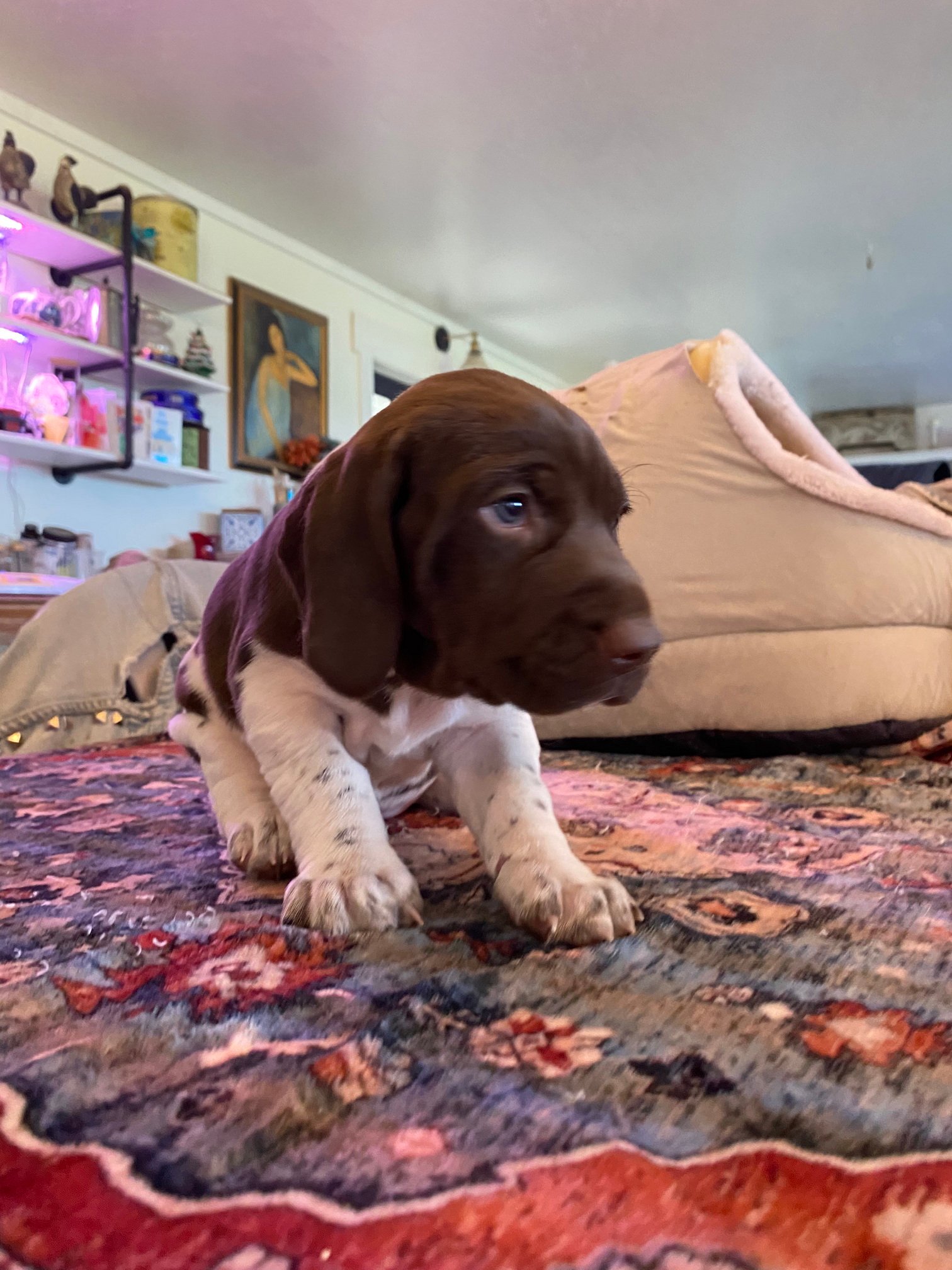 Ellie 051225 007