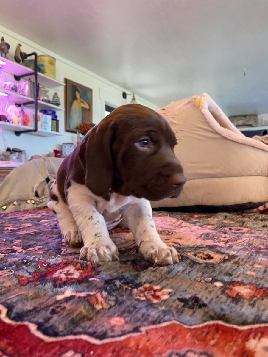 Ellie 051225 007