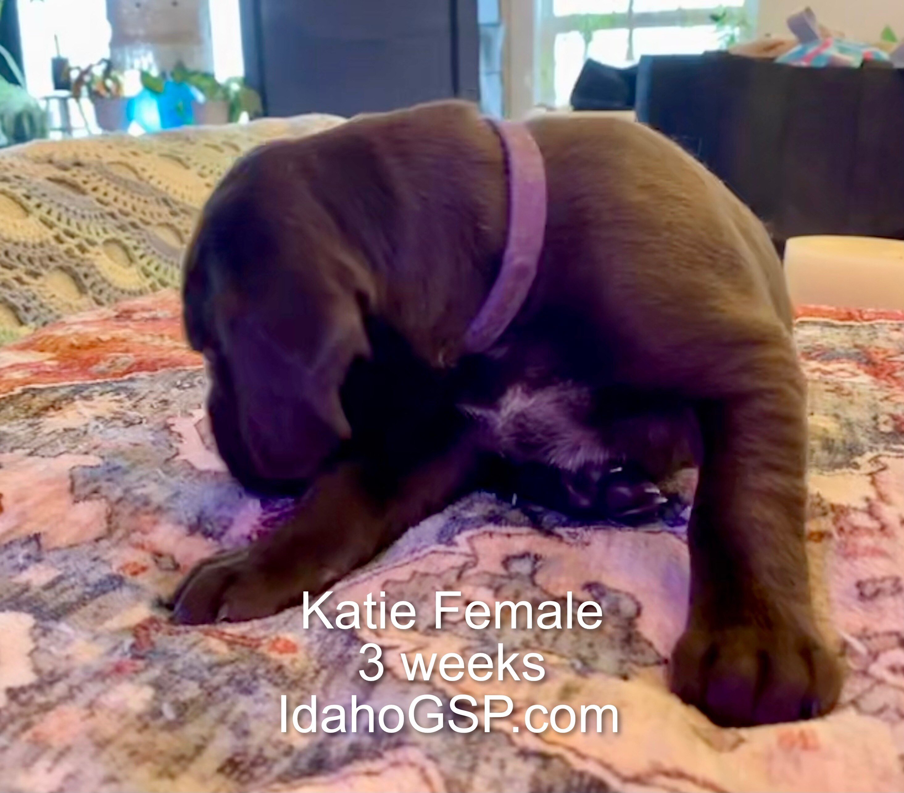 Katie 111024 001